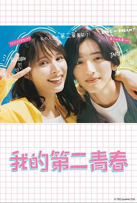 荆州seo搜索优化